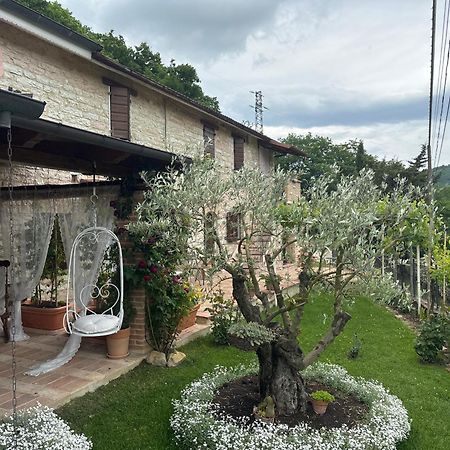 B&B Il Poggetto Serra SantʼAbbondio Exteriér fotografie