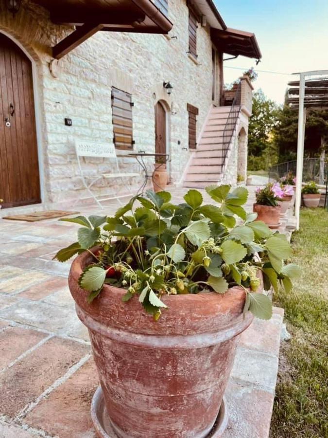 B&B Il Poggetto Serra SantʼAbbondio Exteriér fotografie