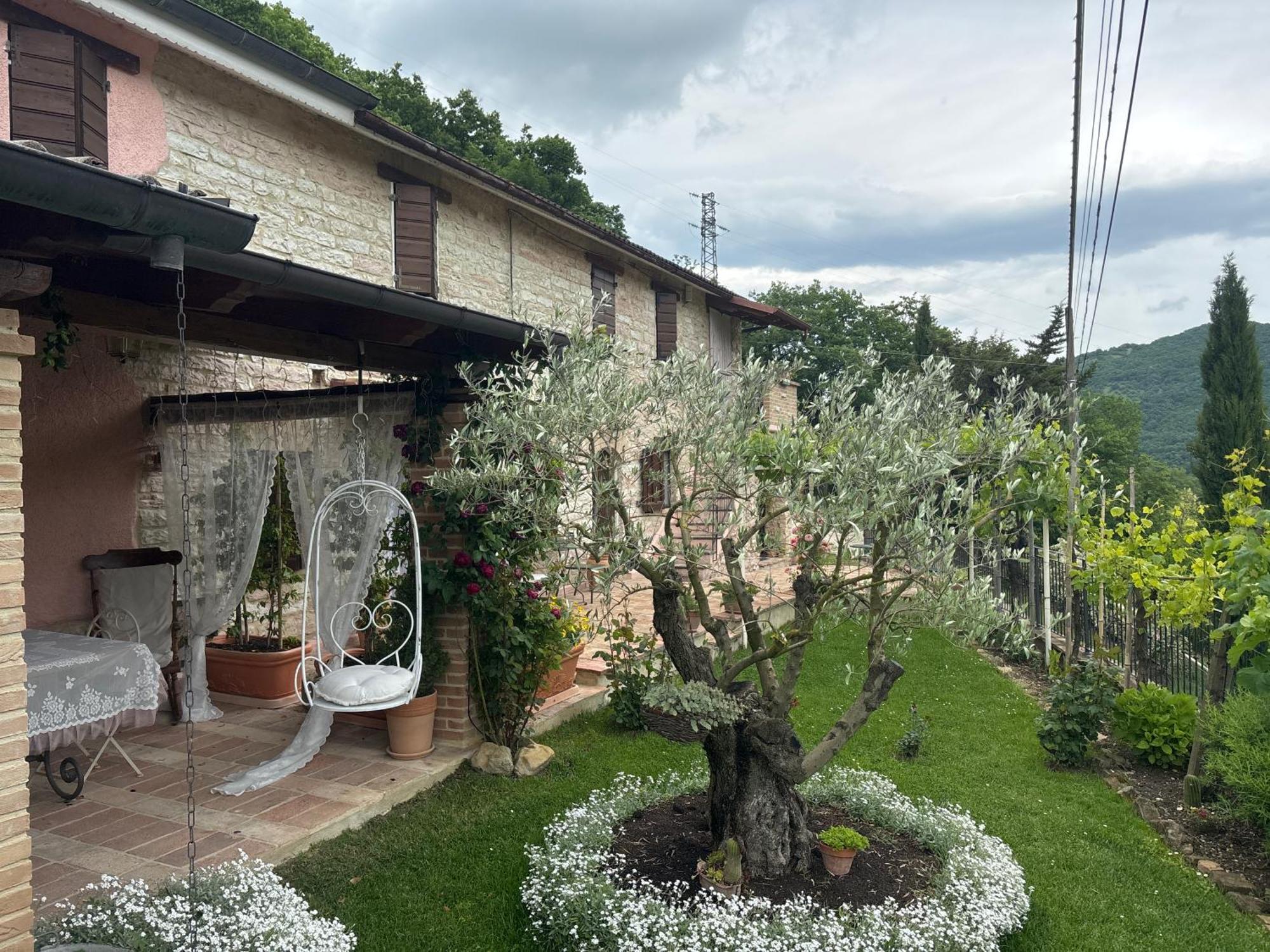 B&B Il Poggetto Serra SantʼAbbondio Exteriér fotografie