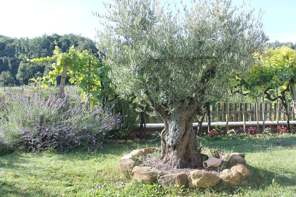 B&B Il Poggetto Serra SantʼAbbondio Exteriér fotografie